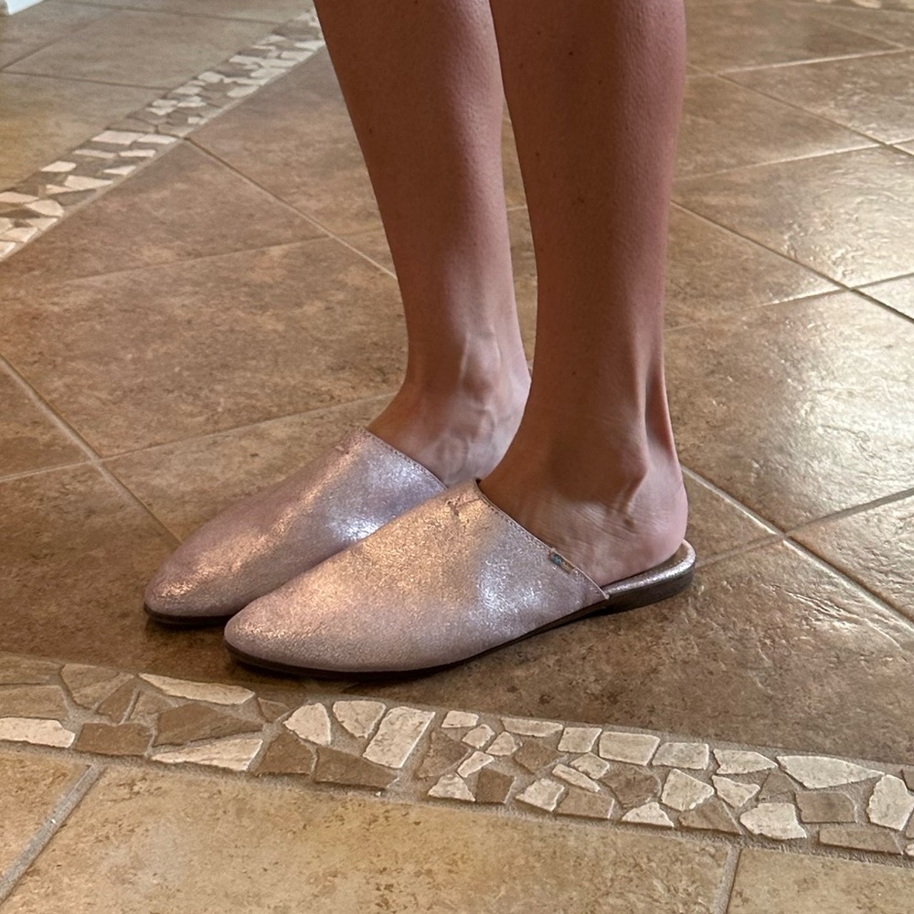 Toms slides